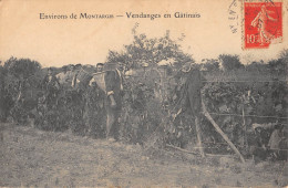 CPA 45 ENVIRONS DE MONTARGIS / VENDANGES EN GATINAIS - Autres & Non Classés