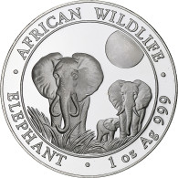 Somalie, 100 Shillings, Elephant, 2014, BE, Argent, FDC - Somalie