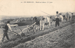 CPA 58 EN MORVAN / BOEUFS AU LABOUR - Sonstige & Ohne Zuordnung