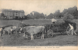 CPA 58 SAINT HONORE LES BAINS / LA RENTREE DES FOINS - Autres & Non Classés