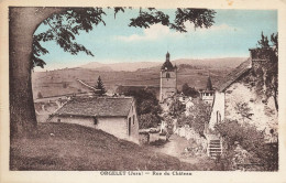 Orgelet * La Rue Du Château Et Vue Sur Le Village - Orgelet
