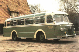 Bussing 4000T  (1954)  Autobus Classique  - Carrosserie: Emmelmann  - PHOTO 15x10cms - Bus & Autocars