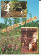 1360- CPM - BOURGOGNE - Un Bonjour Du MORVAN - Multivue : Rivière, Cascade, Rouet, Costume, Digitale -1 - Bourgogne