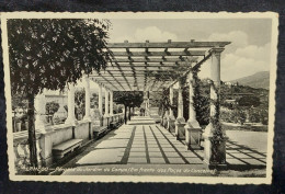 C6 /1 - Photo Postal * Lamêgo * Pérgola Do Jardim Do Campo * Viseu * Portugal - Viseu