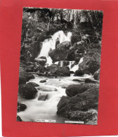 ANGLETERRE---BECKY FALLS--voir 2 Scans - Dartmoor