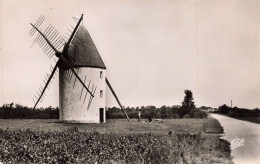 17 - ST PIERRE D'OLERON _S24260_ Vieux Moulin Route De La Cotinière - CPSM 14x9 Cm - Saint-Pierre-d'Oleron