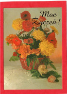 MOC ZYCZEN - FLOWERS ROSES ROSE , Pologne Poland Illustrator CPM Année 1996 Impeccable - Collections & Lots