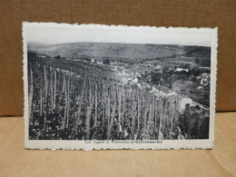 GREVENMACHER (Luxembourg) Vue De La Ville Et Des Vignes - Otros & Sin Clasificación