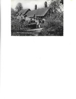 England - Postcard Unused - Anne Hathaway's Cottage At Shottery,near Stratford On Avon - Stratford Upon Avon