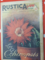 RUSTICA 1952 Echinopsis Chasse à La Palombe Palombière Reconnaître Les Papillons Oiseau Des Pays D'Outre-mer - Hunting & Fishing