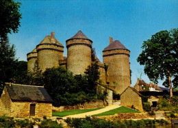 LASSAY    ( MAYENNE )   LE CHATEAU FEODAL - Lassay Les Chateaux
