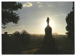 SAGRADO CORAZON DESDE EL CASTILLO / HOLY HEART VIEW FROM THE CASTLE.-  SORIA.- ( ESPAÑA ) - Soria