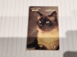 CANADA-(B10116)-Siamese Cat-(22)-(1$)-(8/2008)-(tirage-2.050)-mint Card+2card Prepiad Free - Kanada
