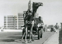 REAL PHOTO POSTCARD PAKISTAN CARTE POSTALE CAMEL CART VESPA SCOOTER TAXI - Pakistan