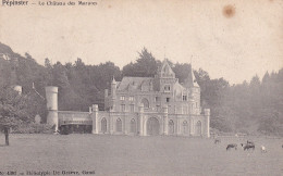 Pepinster Le Chateau Des Mazures - Pepinster