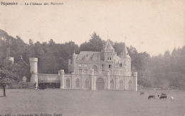 Pepinster Le Chateau Des Mazures - Pepinster