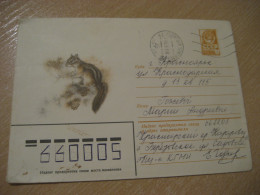 1979 Squirrel Chipmunk Ecureil Rodent Rongeur Cancel Postal Stationery Cover RUSSIA USSR Rodents Rongeurs - Rongeurs