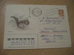 1985 Squirrel Chipmunk Ecureil Rodent Rongeur Cancel Postal Stationery Cover RUSSIA USSR Rodents Rongeurs - Rongeurs