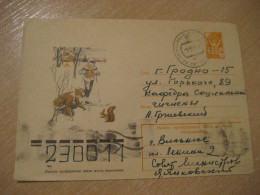 1978 Squirrel Chipmunk Ecureil Rodent Rongeur Cancel Postal Stationery Cover RUSSIA USSR Rodents Rongeurs - Rongeurs