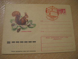 1977 Squirrel Chipmunk Ecureil Rodent Rongeur Cancel Postal Stationery Cover RUSSIA USSR Rodents Rongeurs - Roedores