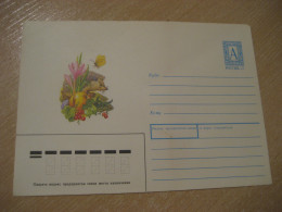 1994 Hedgehog Herisson Rodent Rongeur Postal Stationery Cover RUSSIA Rodents Rongeurs - Rongeurs