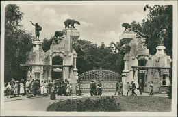 HAMBURG / STELLINGEN - CARL HAGENBECK'S TIERPARK - HAUPTEINGANG - 1930s -  EXCELLENT CONDITION (16862) - Stellingen