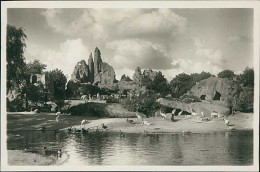 HAMBURG / STELLINGEN - CARL HAGENBECK'S TIERPARK - GESAMT PANORAMA - 1930s - EXCELLENT CONDITION (16865) - Stellingen