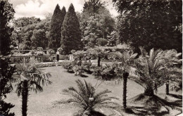 ALLEMAGNE - Île De Mainau - Palmenhain - Carte Postale Ancienne - Other & Unclassified