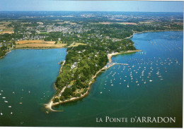 CPM - G - MORBIHAN - ARRADON - LA POINTE D'ARRADON - QUARTIER RESIDENTIEL ENTRE EAU ET VERDURE - Arradon