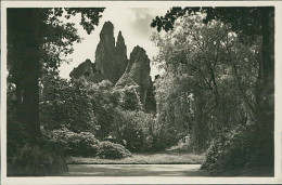 HAMBURG / STELLINGEN - CARL HAGENBECK'S TIERPARK - SEITENBLICK AUS DAS HOCHGEBIRGE -  1930s (16890) - Stellingen