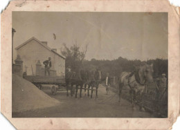 Photographie - Attelage De Chevaux - Trois Hommes - Coins Coupés - Dim: 13/18 Cm - Anonyme Personen