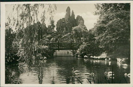 HAMBURG / STELLINGEN - CARL HAGENBECK'S TIERPARK - JAPANISCHE INSEL - 1930s (16894) - Stellingen