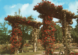 CPM - H3 - BOUCHES DU RHONE - MARSEILLE - LE PARC BORELY - LA ROSERAIE - Parken En Tuinen