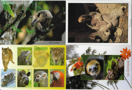 Lot 4 Cartes De La Faune En GUYANE - Colecciones Y Lotes