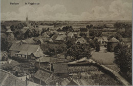 Blaricum ( 't Gooi)  In Vogelvlucht (niet Standaard Zicht) 1916 - Other & Unclassified
