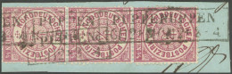 NDP 13b BrfStk, 1869, 1/4 Gr. Bräunlichlila Im Senkrechten Dreierstreifen, R2 PUPPEN, Prachtbriefstück - Altri & Non Classificati