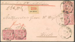 NDP 16 Paar BRIEF, 1870, 1 Gr. Karmin, 4x (2 Senkrechte Paare) Auf Paketbegleitbrief (mit Prägung!) Von HUSUM Nach Heide - Andere & Zonder Classificatie