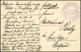 MSP VON 1914 - 1918 Feldpost-Ansichtskarte Mit Violettem Briefstempel Kaiserliche Marine Luftschiffhafen Seerappen - Neu - Marittimi