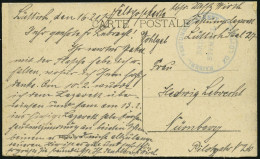 FELDPOST I.WK 1917, Feldpost-Ansichtskarte Mit Blauem K1 KAISERL. FFESTUNGSLAZARETT ZU LÜTTICH Nach Nürnberg, Pracht - Brieven En Documenten