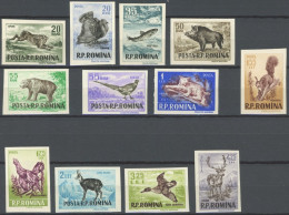 RUMÄNIEN 1614-25 , 1956, Jagdbare Tiere, Ungezähnt, Postfrischer Prachtsatz, Mi. 90.- - Autres & Non Classés