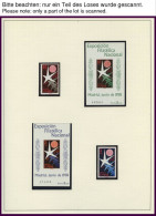 SPANIEN , Komplette Postfrische Sammlung Spanien Von 1958-81 In 3 Linder Alben, Prachterhaltung - Usati