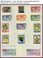 GUINEA , , 1959-68, Praktisch Komplette Sammlung Im Album (ohne Ungezähnte Ausgaben), Blocks Wohl Alle Postfrisch, Prach - Guinée (1958-...)