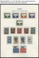 EUROPA UNION , 1957, Baum, Kompletter Jahrgang, Pracht , Mi. 242.- - Sammlungen