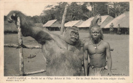 CONGO - Haute-Sanga - Gorille Tué Au Village Bakoros De Nola - Carte Postale Ancienne - French Congo