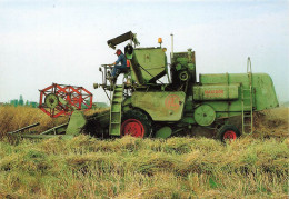 Bailleau Le Pin , Environs De Romigny * Moisson Du Colza Sur Machine Agricole Moissonneuse CLAAS MATADOR Tracteur - Autres & Non Classés