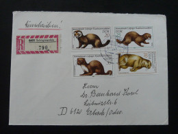 Animaux à Fourure Fur Animals Lettre Recommandée Registered Cover Einschreiben Brief Schirgiswalde DDR Ref 290 - Rongeurs