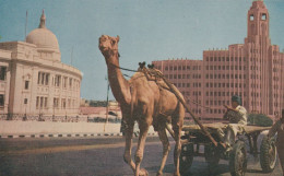 1825 A 39 Karachi, Qamar House & Port Trust - Pakistan