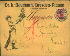 1912, Toller Werbeumschlag “Dr. Naumann”, Dresden - Lettres & Documents