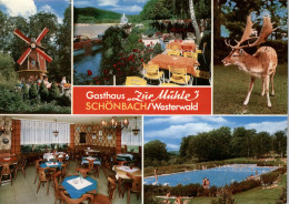 6348 HERBORN - SCHÖNBACH, Gasthaus Zur Mühle - Herborn