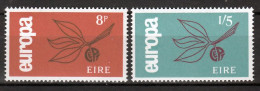 Ierland  Europa Cept 1965 Postfris - 1965